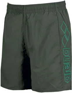 Arena Berryn Boxer Men, vert