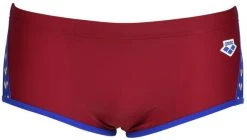 Arena Icons Panel Low Waist Shorts Men, rouge