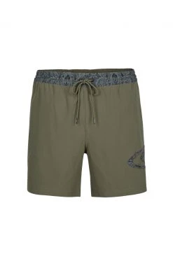 O'Neill World Wave Shorts Men, olive