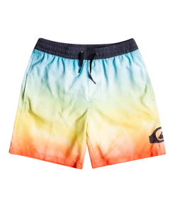 Quiksilver Everyday Faded Logo 15" Volley Shorts Youth, Multicolore
