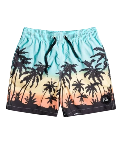 Quiksilver Everyday Paradise 14" Volley Shorts Youth, Multicolore