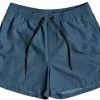Quiksilver Everyday Volley 15 Short Homme, bleu