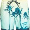 Quiksilver Paradise Volley 17 Shorts Men, Multicolore