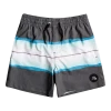 Quiksilver Resin Tint 14" Volley Shorts Youth, gris/blanc