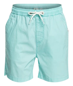 Quiksilver Taxer Watershorts Youth, gris