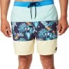 Rip Curl Blocking Semi Elastic Boardshorts Men, Multicolore