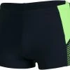 Speedo Dive Aquashorts Men, noir