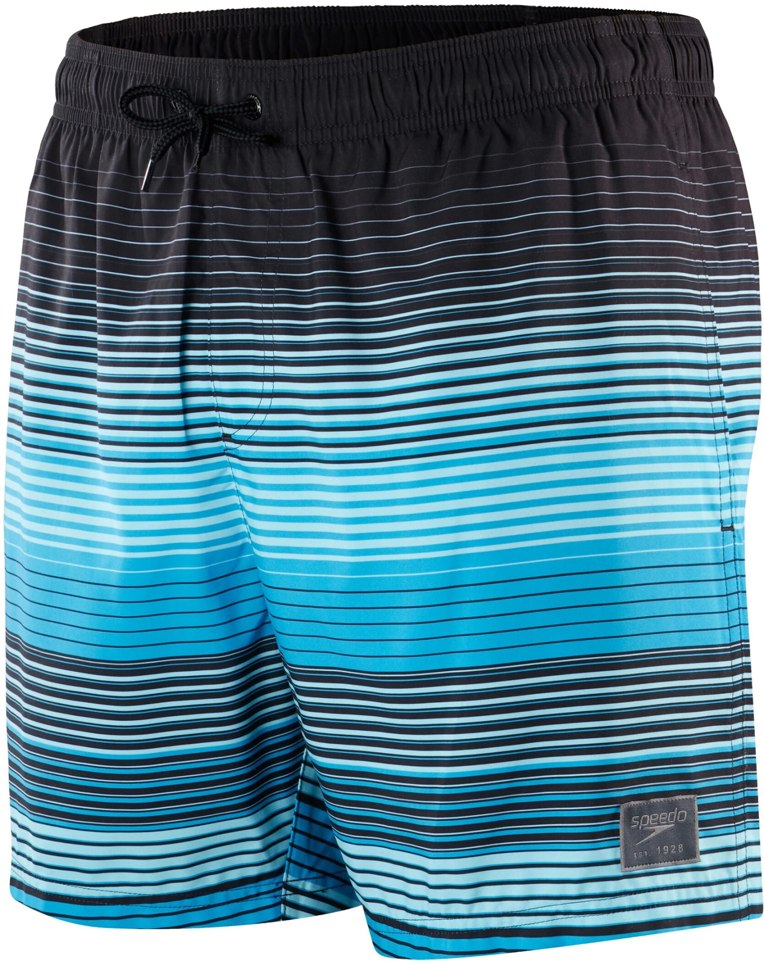 Speedo Placement Leisure 16" Watershorts Men, bleu/noir