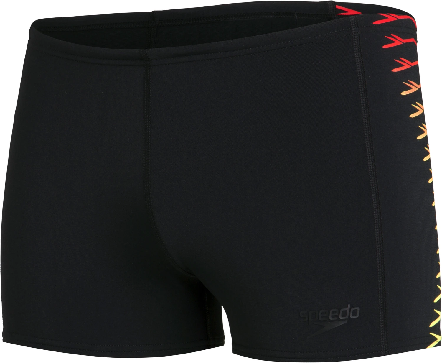 Speedo Tech Panel Aquashorts Men, noir